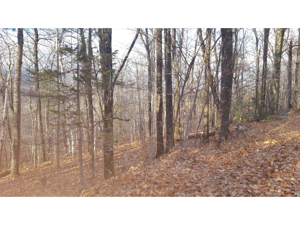 4 Forclaz Road Madison, NH 03849 - Photo 24 of 40
