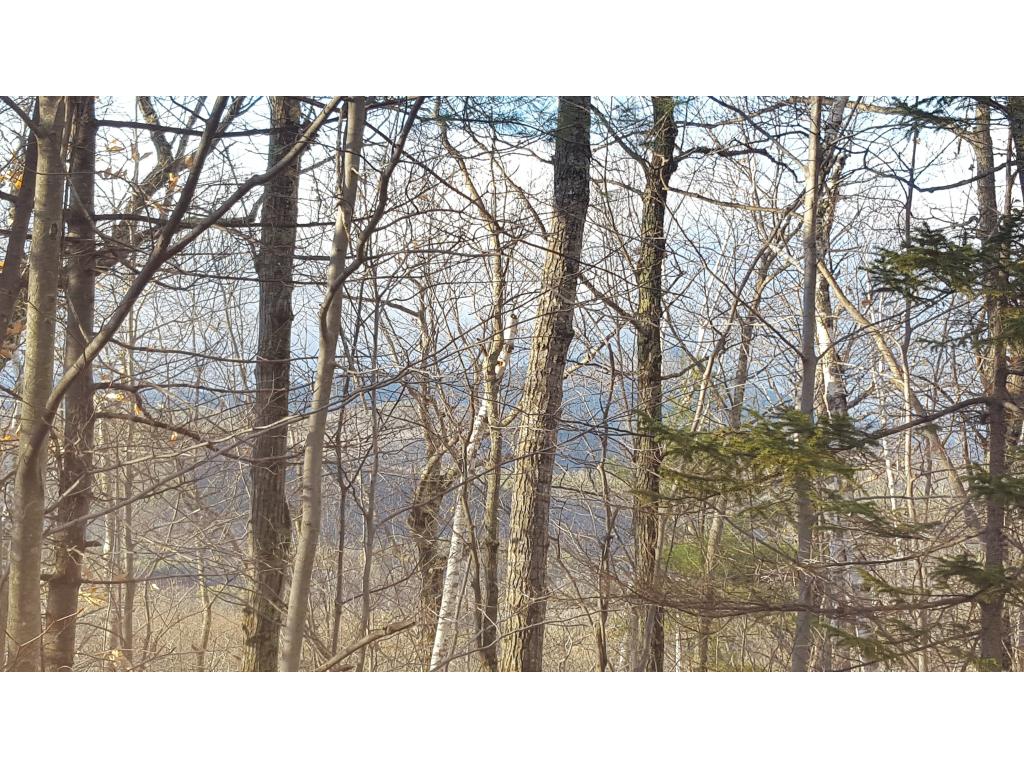 4 Forclaz Road Madison, NH 03849 - Photo 25 of 40