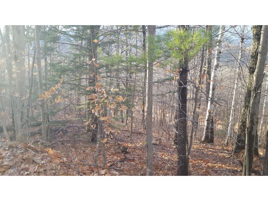 4 Forclaz Road Madison, NH 03849 - Photo 26 of 40