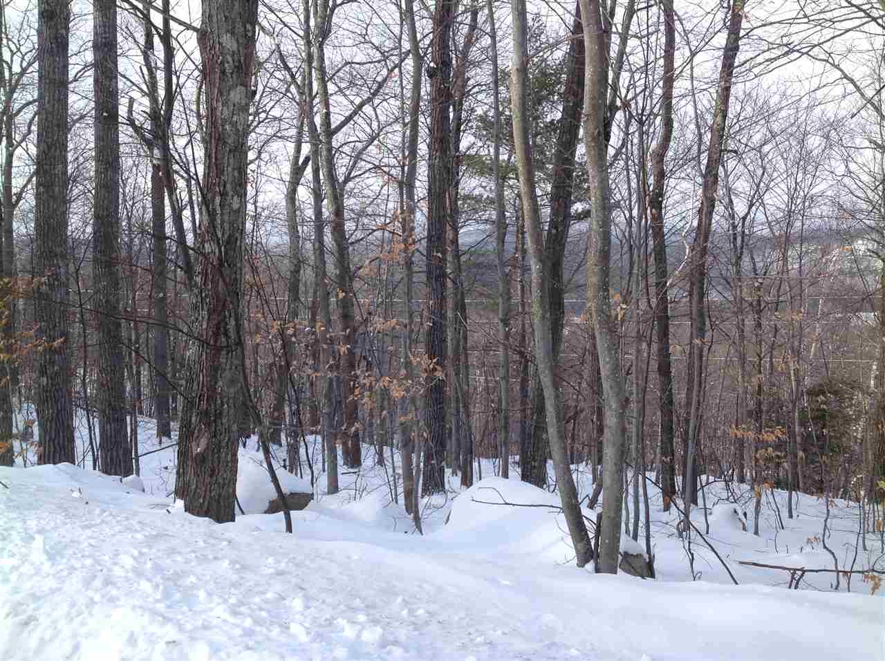 4 Forclaz Road Madison, NH 03849 - Photo 29 of 40