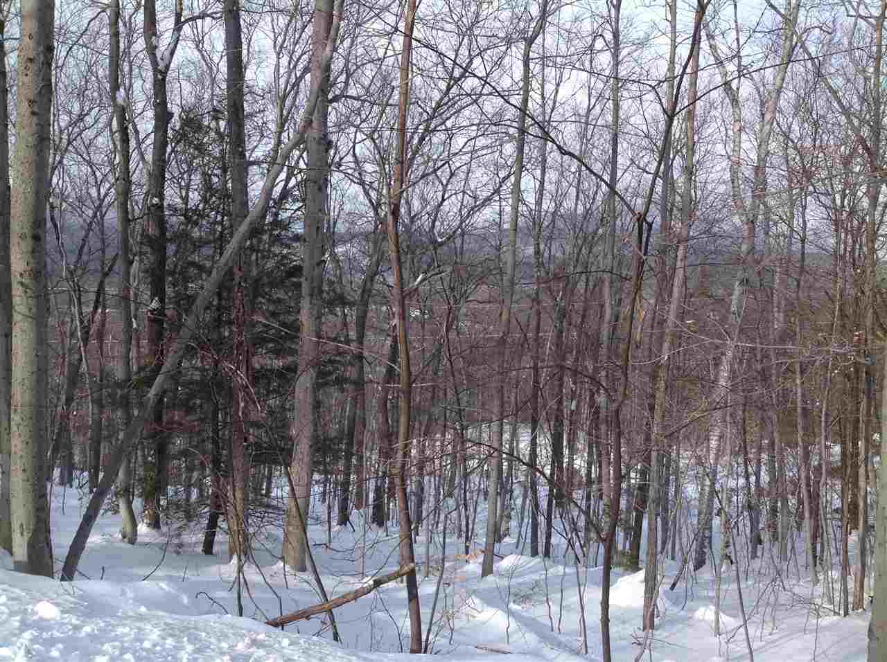 4 Forclaz Road Madison, NH 03849 - Photo 30 of 40