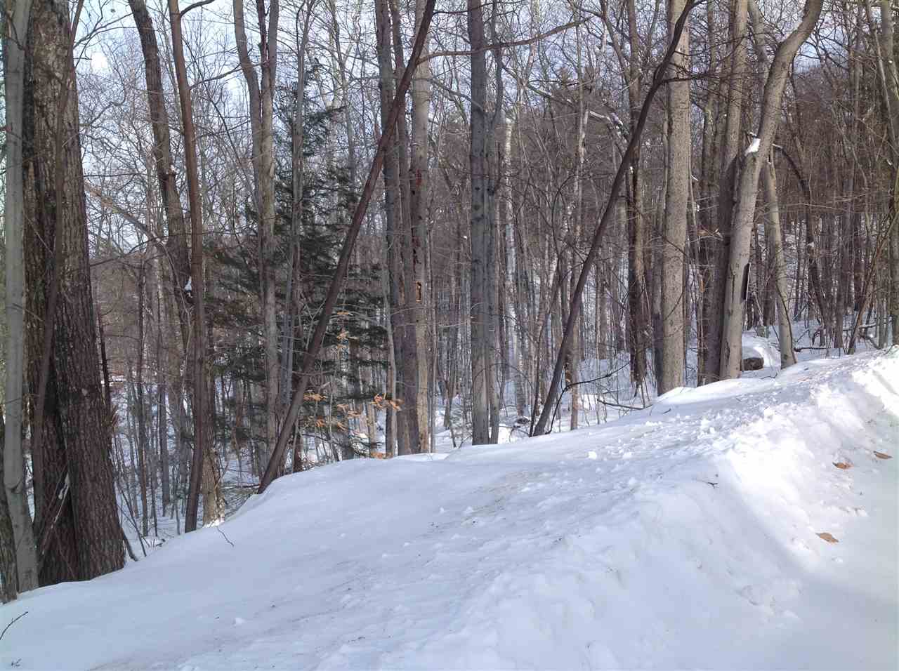 4 Forclaz Road Madison, NH 03849 - Photo 32 of 40