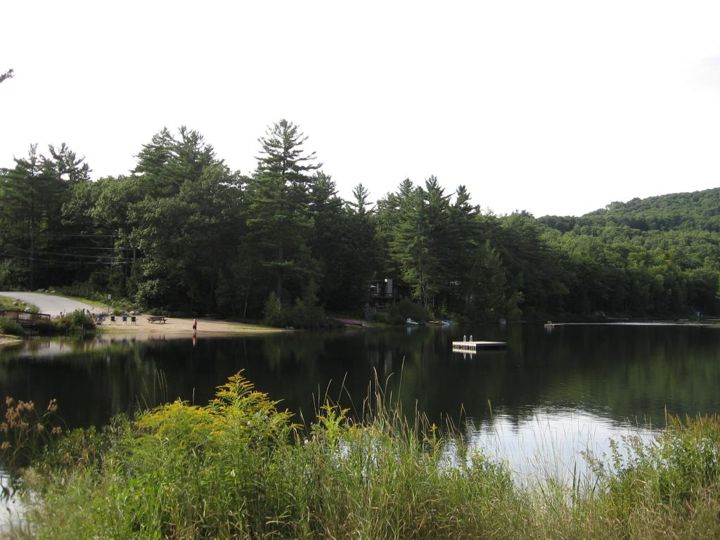 4 Forclaz Road Madison, NH 03849 - Photo 8 of 40