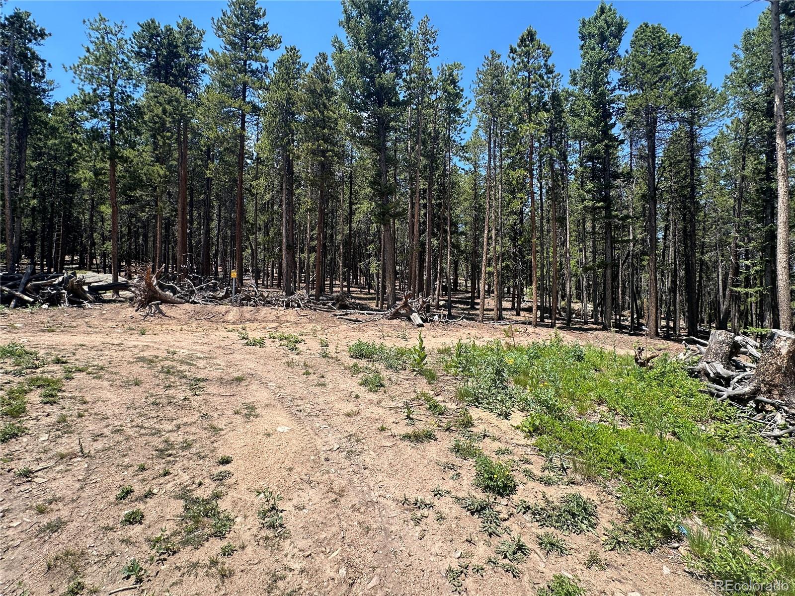 Mountain Meadows Black Hawk, CO 80422 - Photo 28 of 33