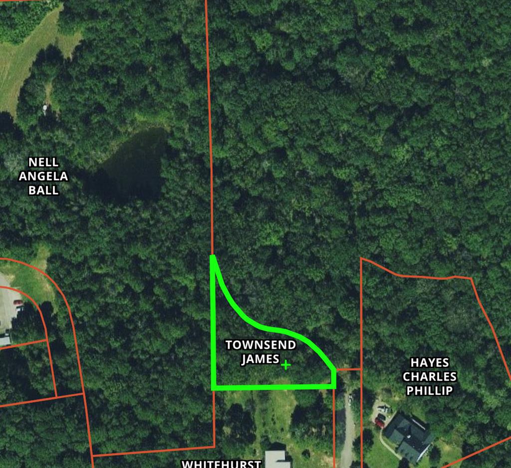 0 Carter Ridge Road Abbeville, AL 36310 - Photo 1 of 1