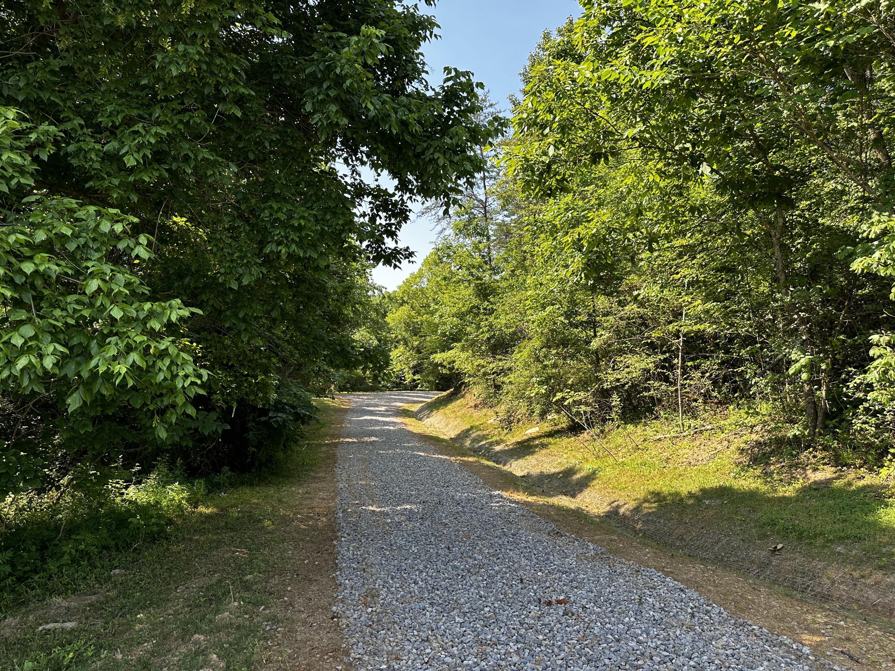 1101 Hull Road, Unit TRACT 9 WOODS WAYNE FOREST) Patriot, OH 45658 - Photo 10 of 61 20240621_144124619_iOS