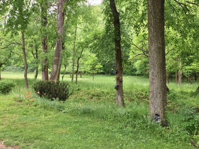 914 Happy Hollow Road Piketon, OH 45661 - Photo 12 of 29