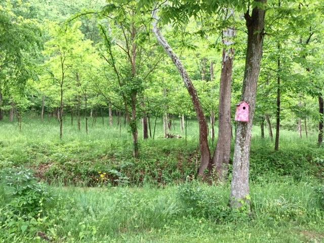 914 Happy Hollow Road Piketon, OH 45661 - Photo 14 of 29