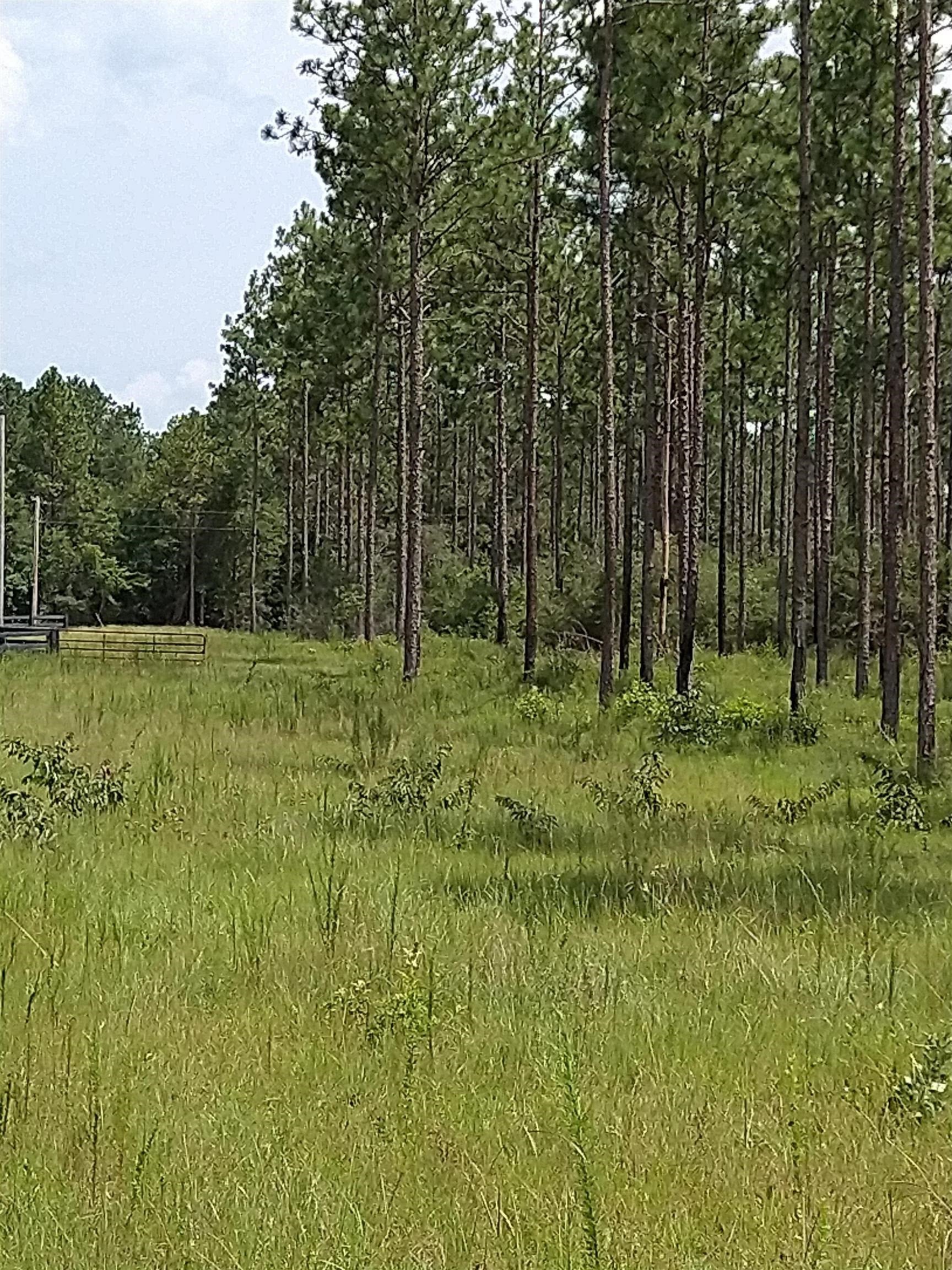 19240 Lindsey Bridge Road Andalusia, AL 36420 - Photo 3 of 6 Gallery Image 3