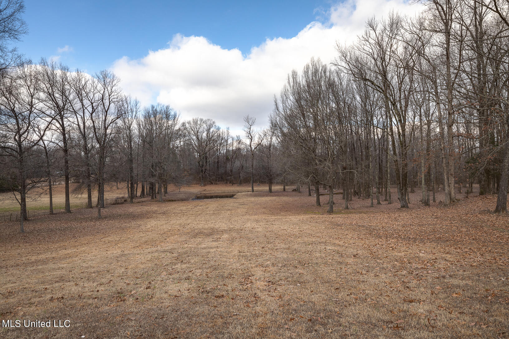 2926 Laverne Road Nesbit, MS 38651 - Photo 32 of 38 2926 Laverne Rd-56