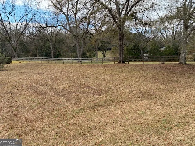 a view of backyard with green space