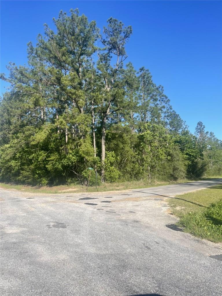 Jack Doucett Road Ragley, LA 70657 - Photo 1 of 2