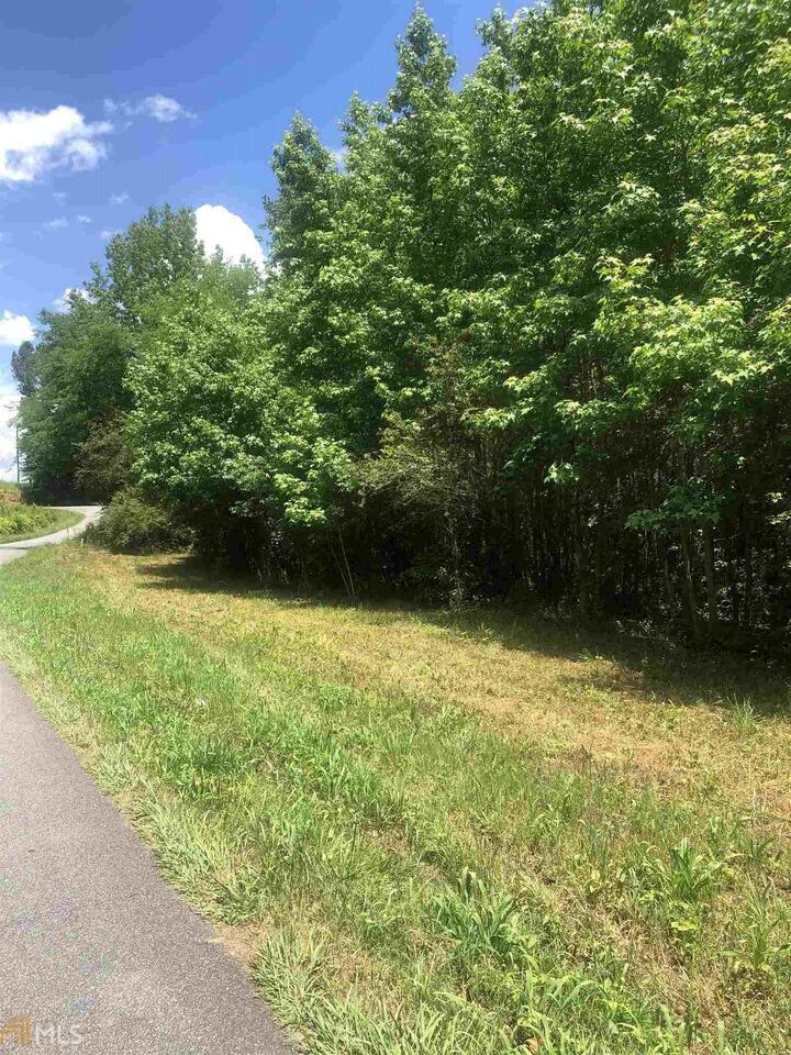 0 Lowery Rd S Road West Kingston, GA 30145 - Photo 1 of 1 Gallery Image 1