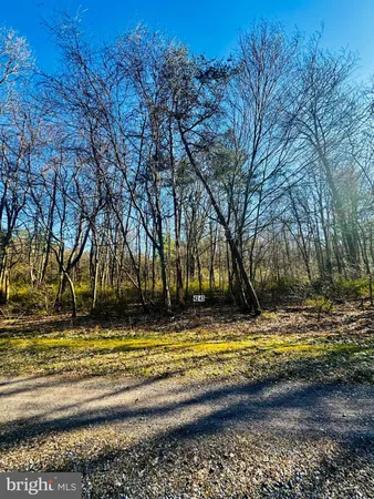 a view of swimming pool with an outdoor space