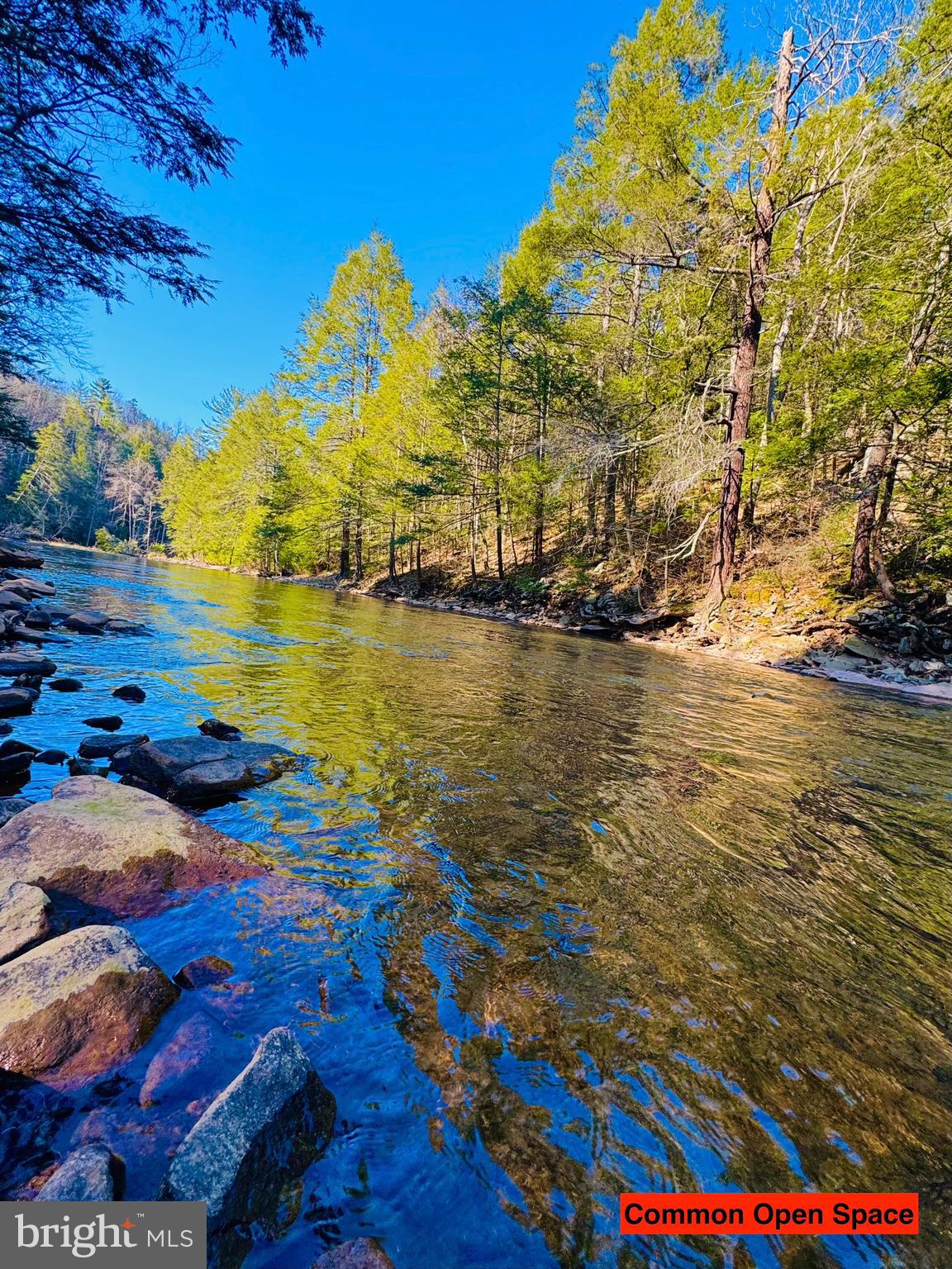 43 Paradise Point James Creek, PA 16657 - Photo 7 of 8 a view of an ocean