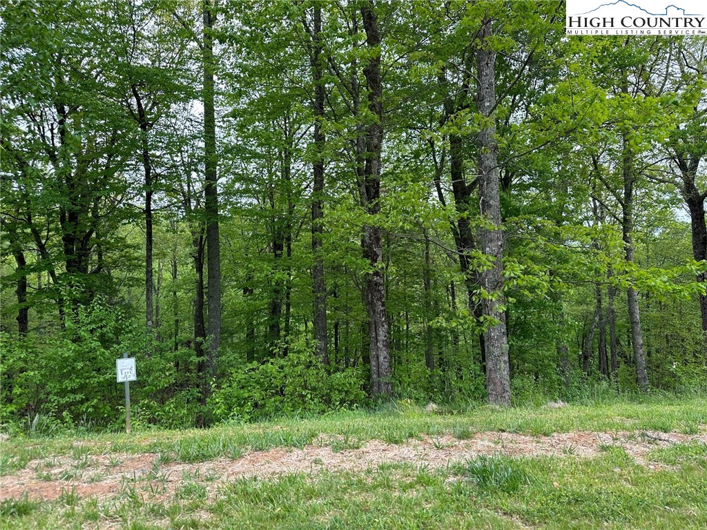 Lot 11-12 Sunset Ridge Drive Boone, NC 28607 - Photo 15 of 28