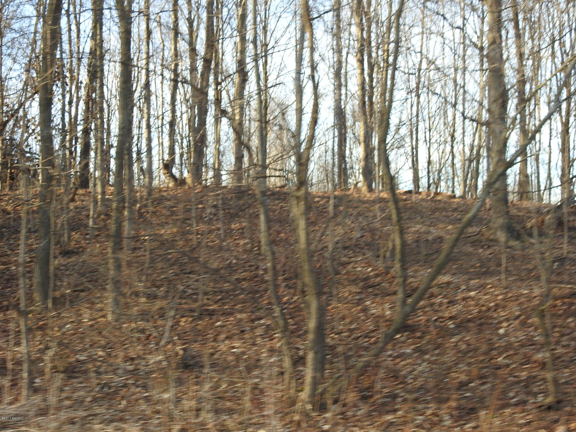 West Filmore Road Mears, MI 49436 - Photo 11 of 46 DSCN0653