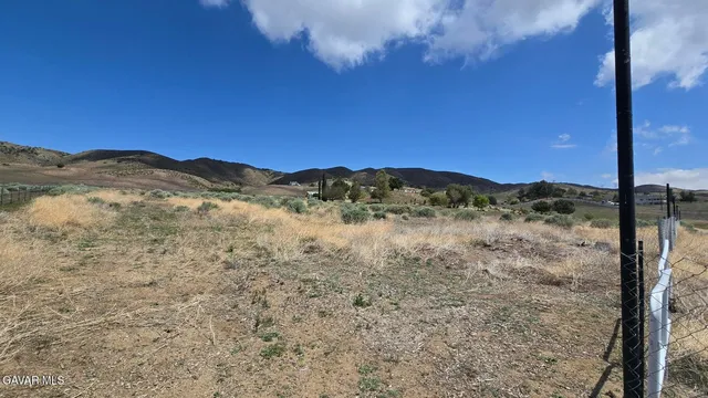 a view of a dry yard with mountains in the background