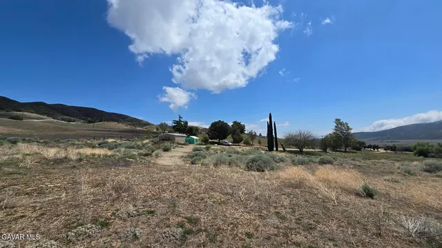 a view of a dry yard with mountains in the background