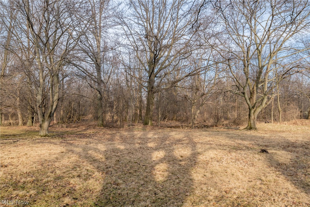 667 Bishop Road Cleveland, OH 44143 - Photo 23 of 24 Gallery Image 23