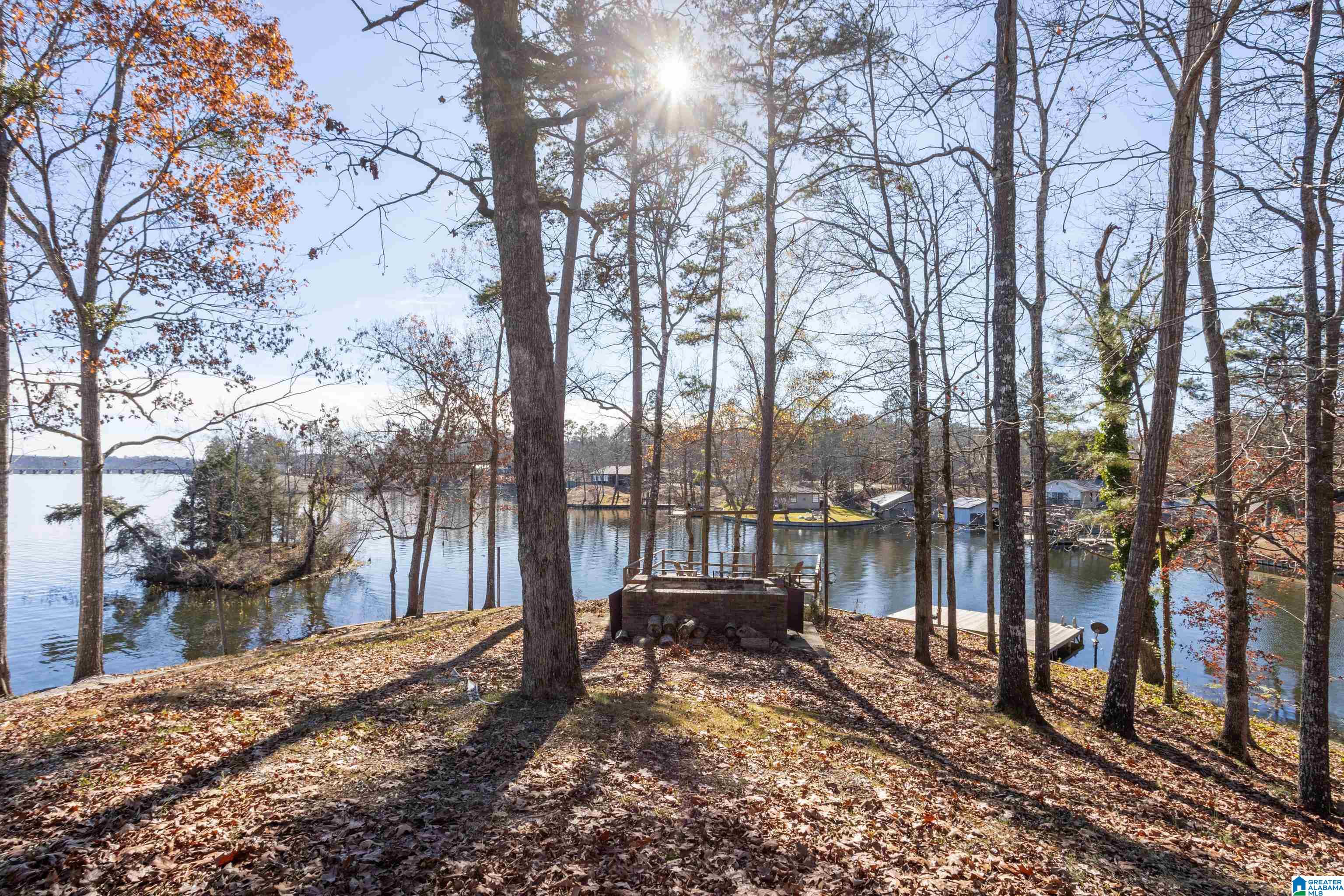 190 County Road 735 Clanton, AL 35046 - Photo 41 of 56