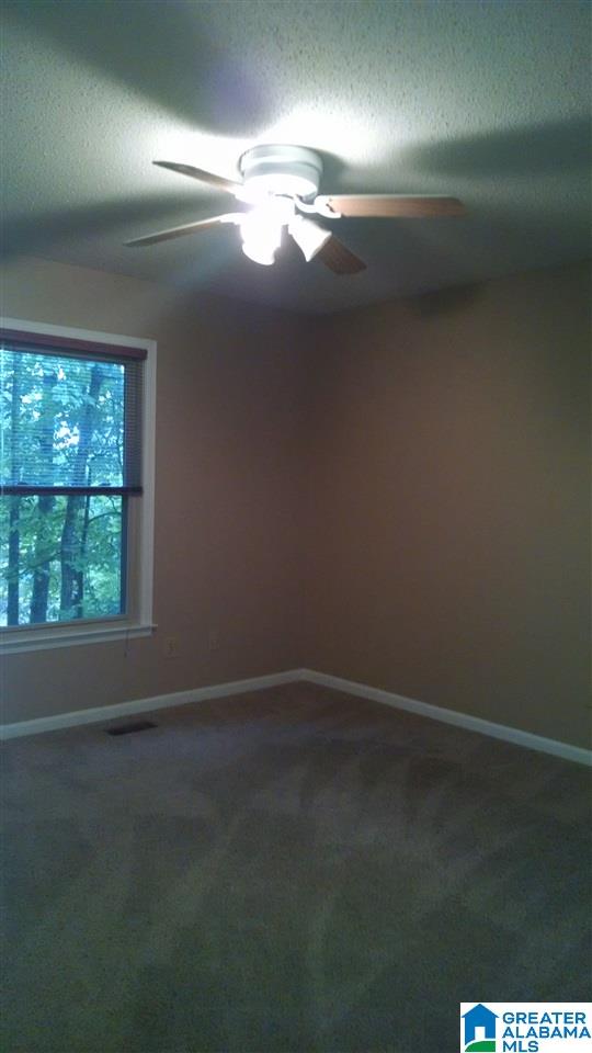 828 Round Hill Road Pelham, AL 35124 - Photo 12 of 19