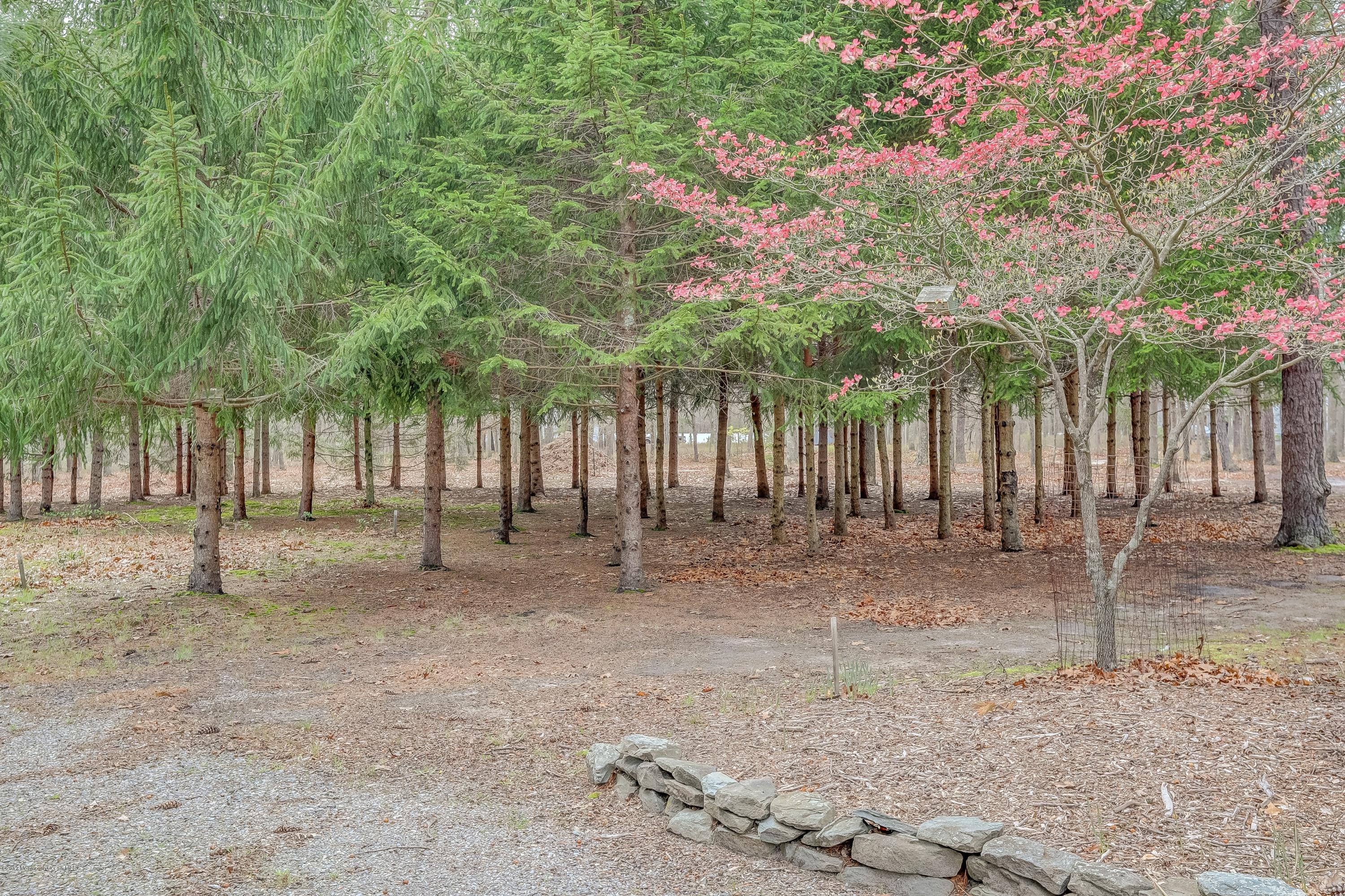 141 Pasadena Road Manchester Township, NJ 08759 - Photo 26 of 28 026_Back