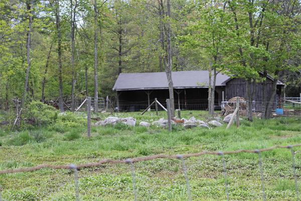 308 Russellville Road Westfield, MA 01085 - Photo 5 of 30 Gallery Image 5
