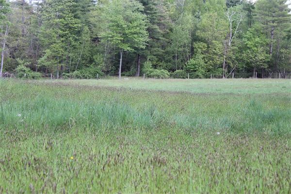 308 Russellville Road Westfield, MA 01085 - Photo 8 of 30 Gallery Image 8