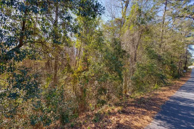 $350,000 | 2042 West Jefferson Street, Quincy, FL 32351