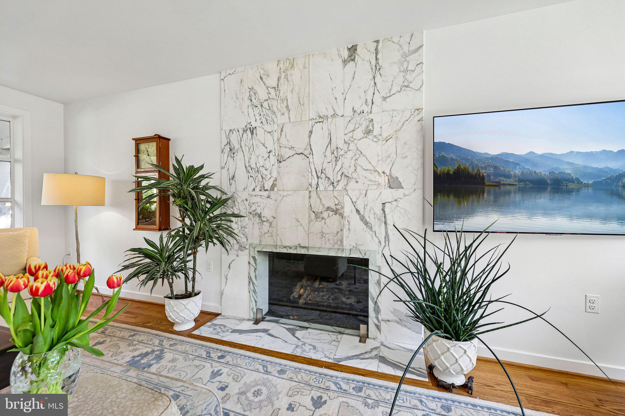 6905 Lemon Road McLean, VA 22101 - Photo 8 of 27 Gas Fireplace