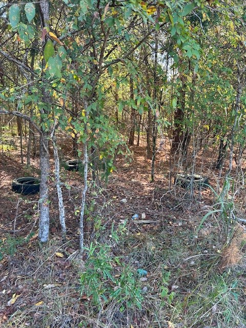 0 Lot 7 Catfish Cove Road Waterloo, SC 29384 - Photo 10 of 20 Gallery Image 10