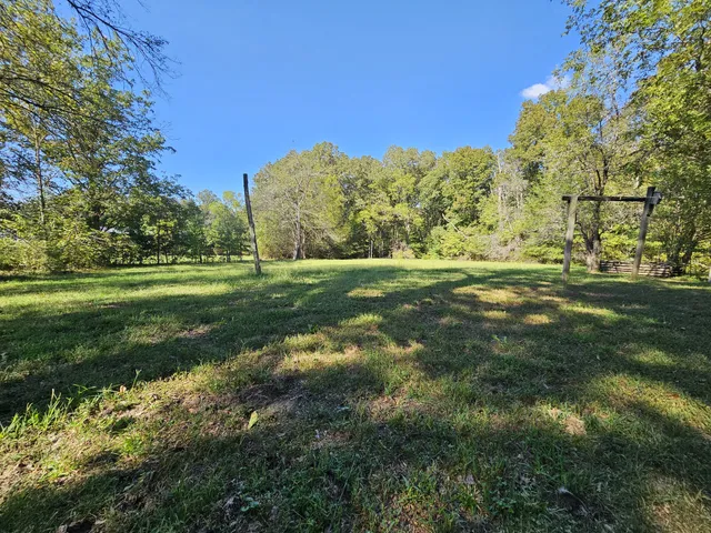 a view of a tree in a yard
