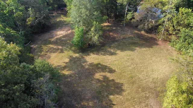 a view of a yard with plants and large trees