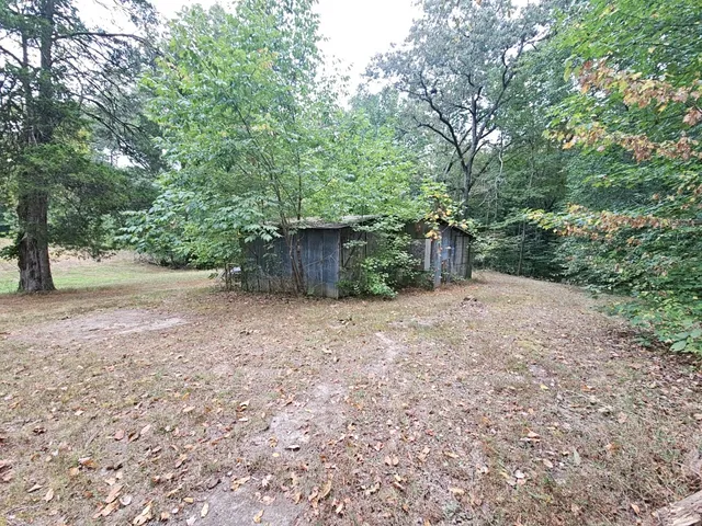 a view of a backyard with large trees and plants