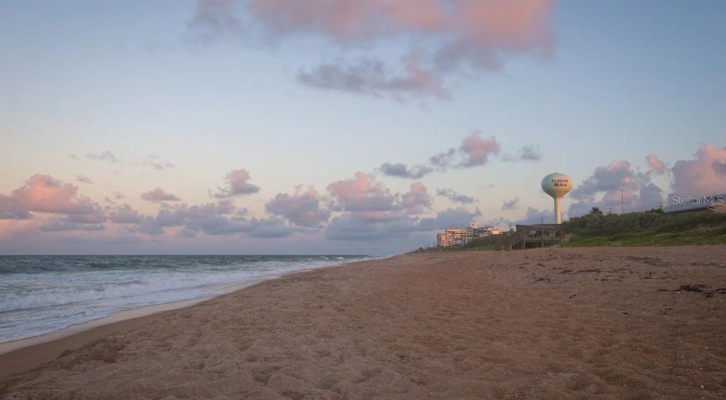 66 Enclave Avenue Palm Coast, FL 32164 - Photo 29 of 30