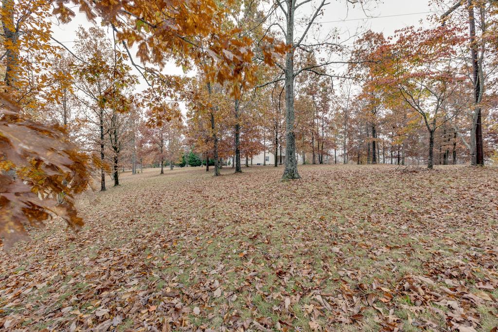 373 Overhead Bridge Road Hampshire, TN 38461 - Photo 2 of 30 Gallery Image 2