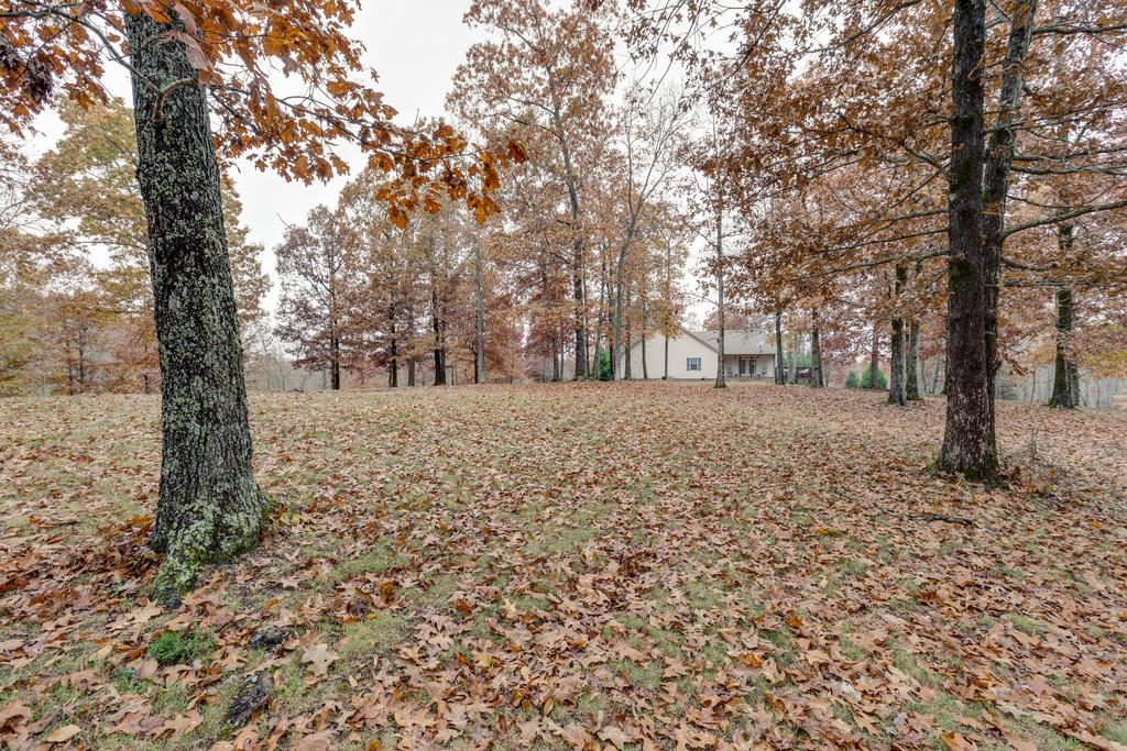 373 Overhead Bridge Road Hampshire, TN 38461 - Photo 24 of 30 Gallery Image 24