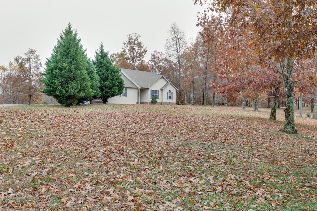 373 Overhead Bridge Road Hampshire, TN 38461 - Photo 3 of 30 Gallery Image 3