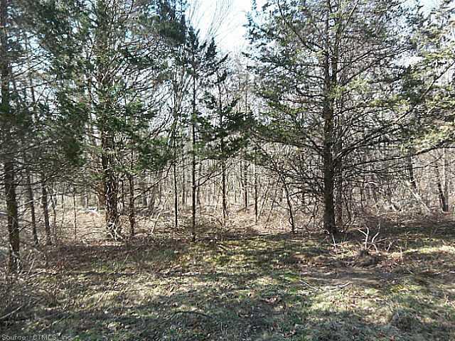 139 Bates Pond Road Canterbury, CT 06331 - Photo 1 of 1 Exterior Front.