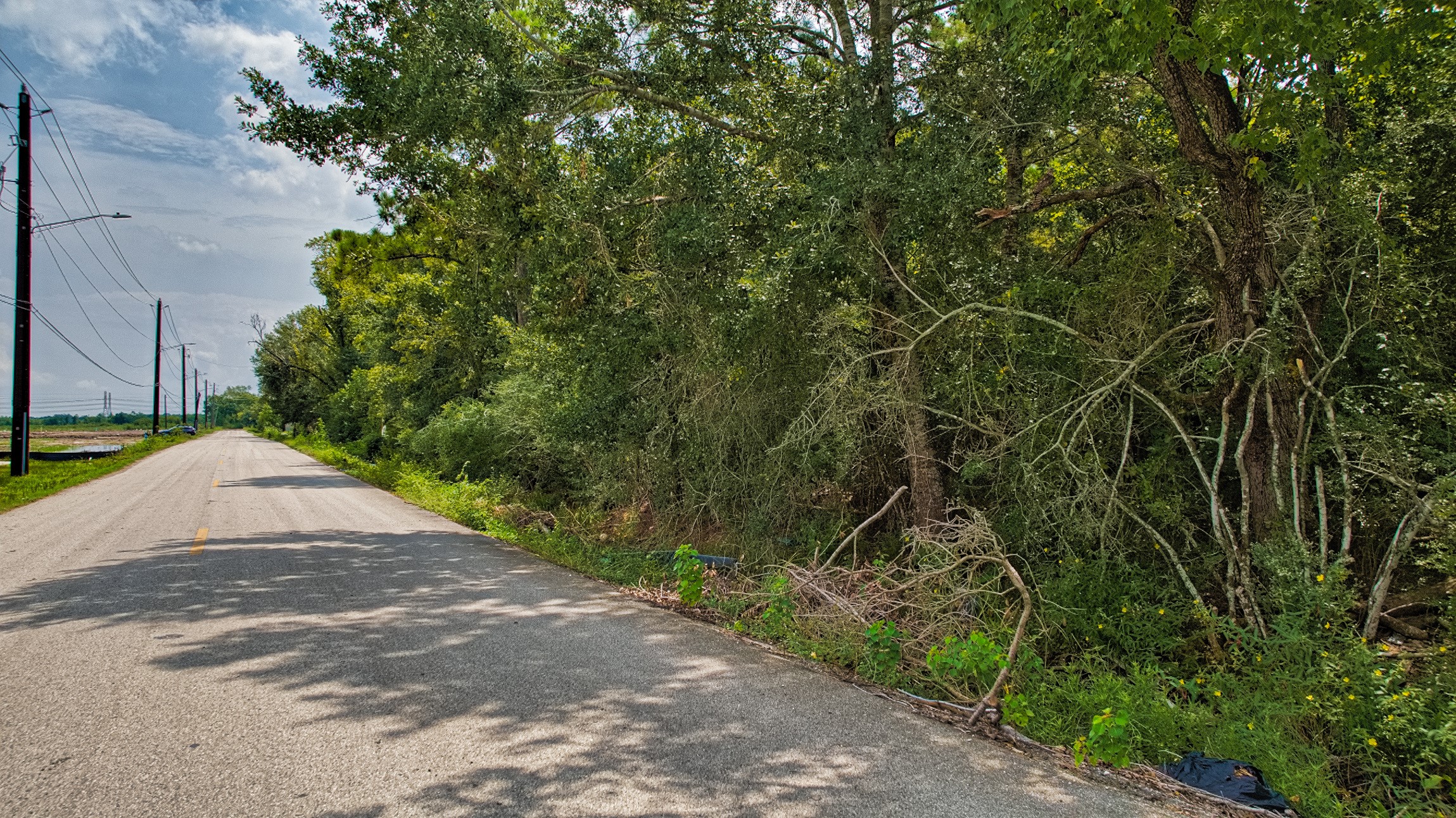 0 Fuqua Street Houston, TX 77048 - Photo 10 of 12 a view of a street with a trees
