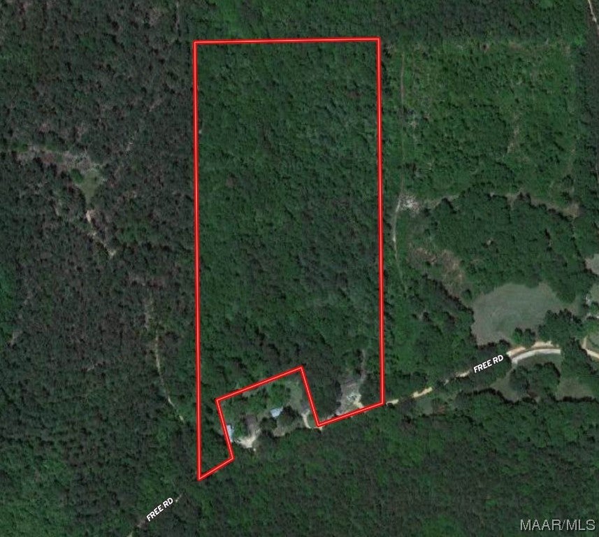 18.5-acres Free Road Brantley, AL 36009 - Photo 28 of 30 Gallery Image 28