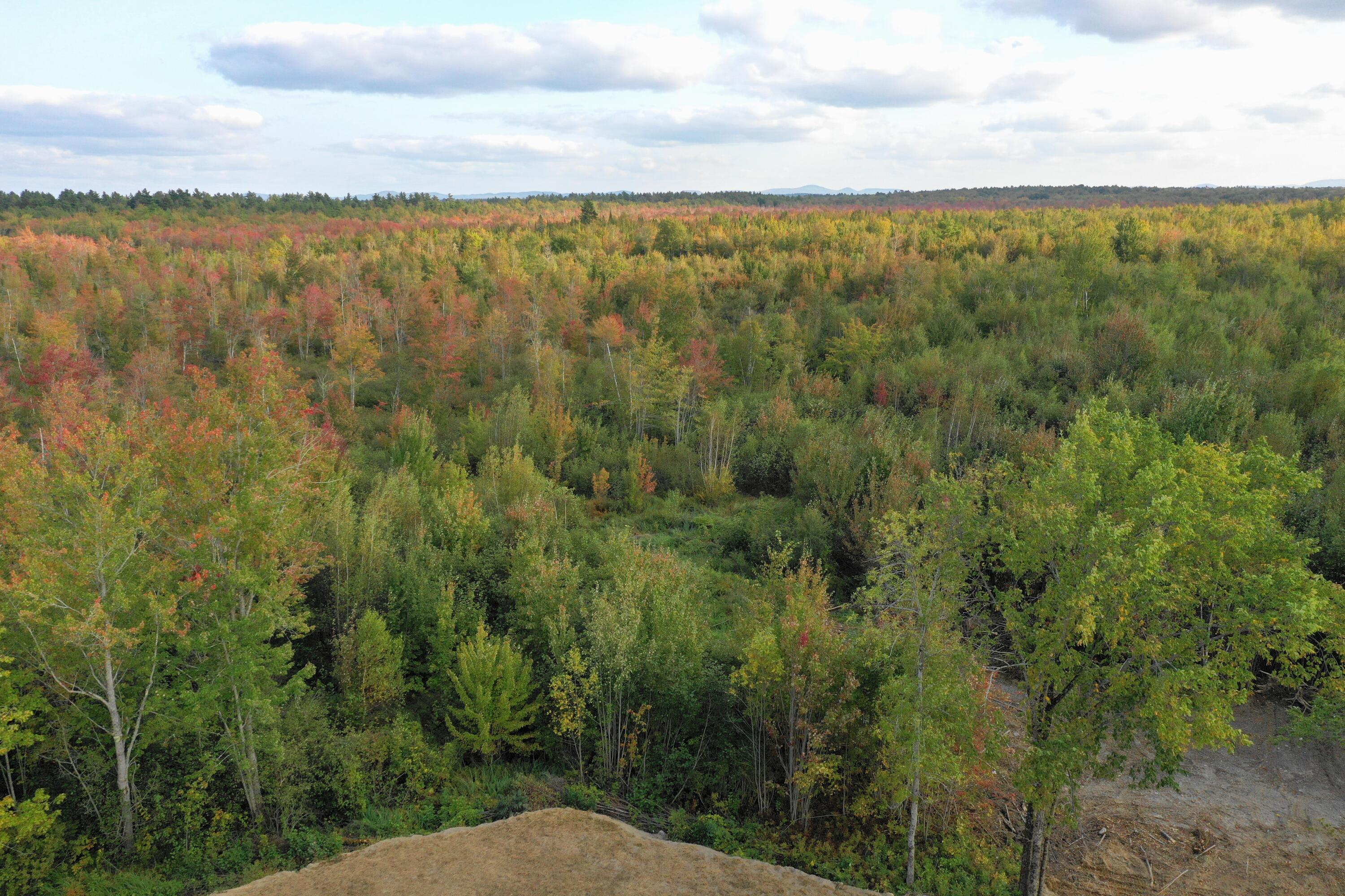 931 Main Road Milford, ME 04461 - Photo 17 of 47 DJI_0132