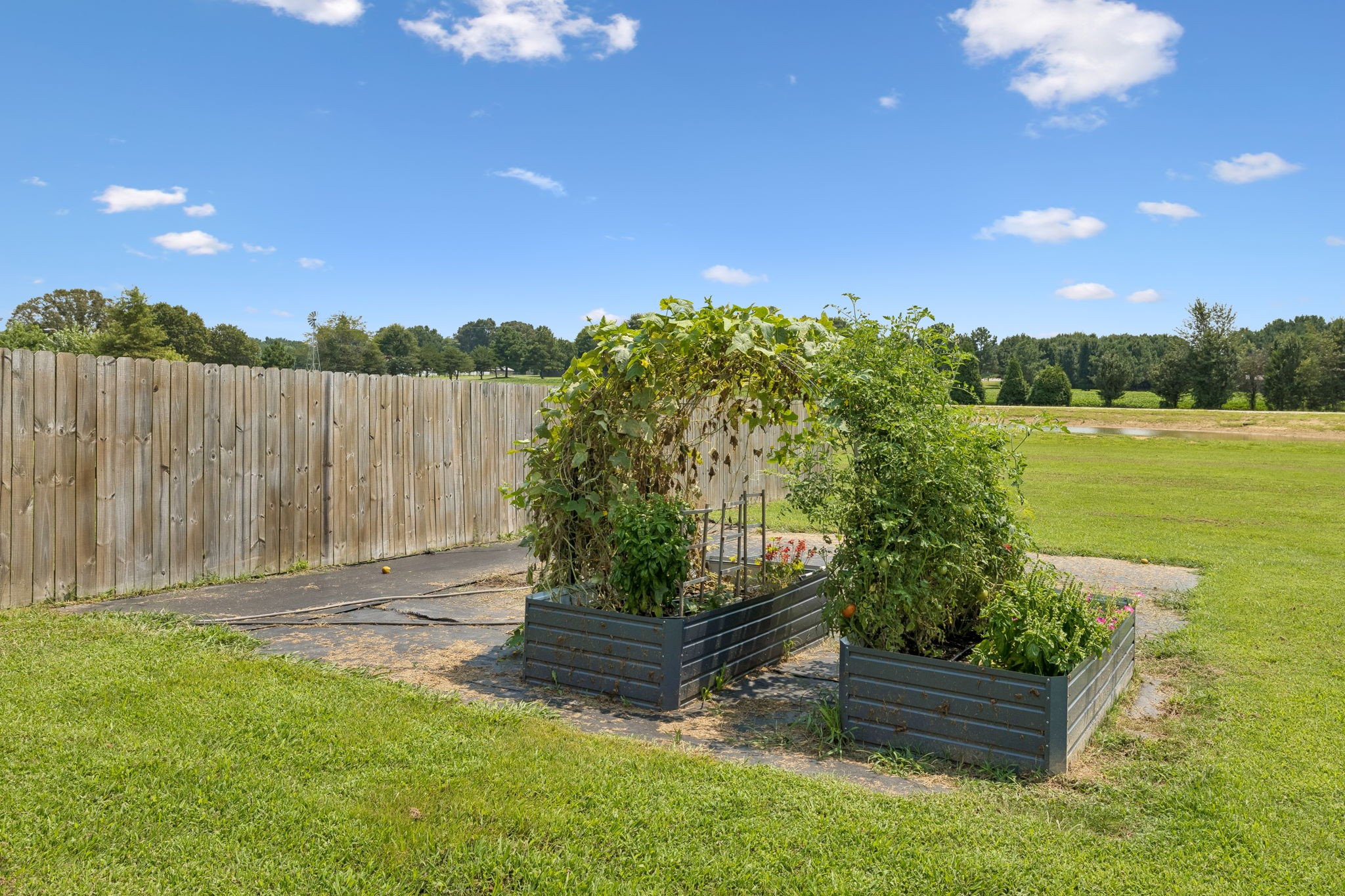 253 Old Baptist Road Ardmore, TN 38449 - Photo 12 of 31 Gallery Image 12