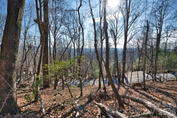 a view of outdoor space with lots of trees