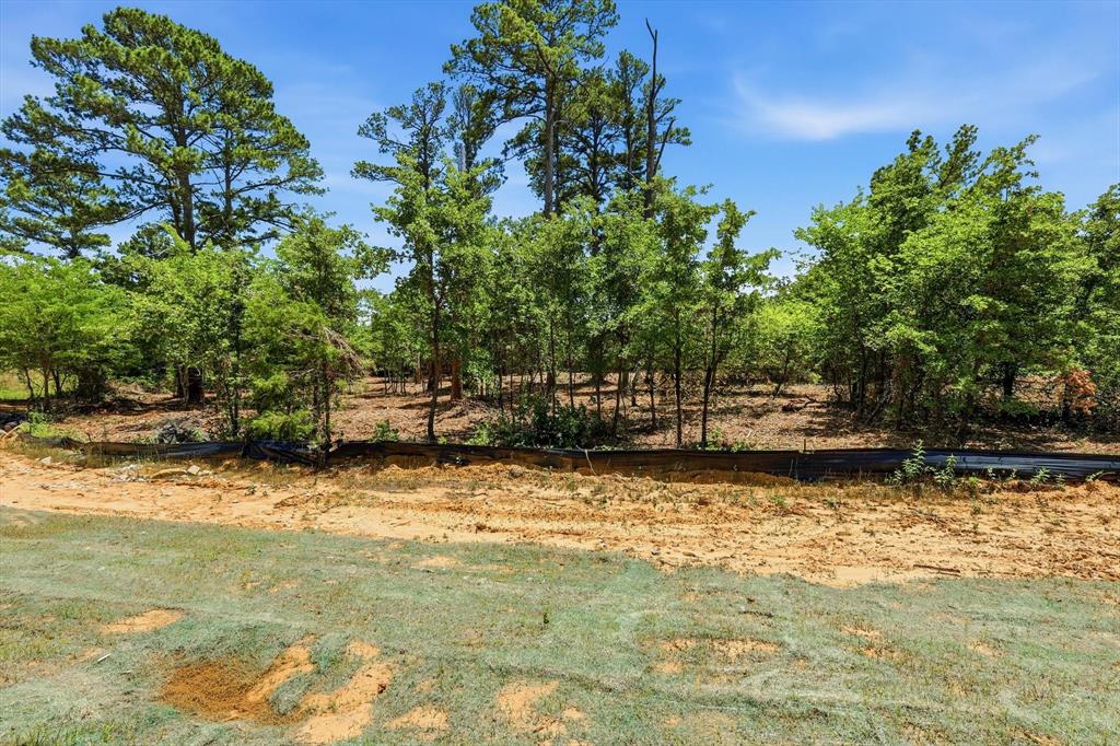1121 Redbird Grove Road Argyle, TX 76226 - Photo 4 of 29