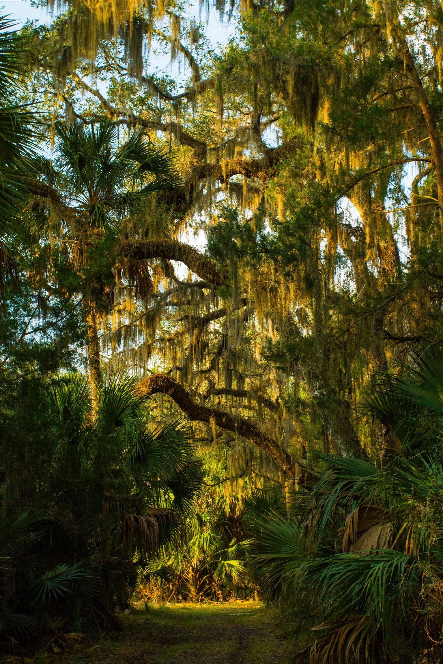 540 Stokes Landing Road St. Augustine, FL 32095 - Photo 68 of 77 Gallery Image 68