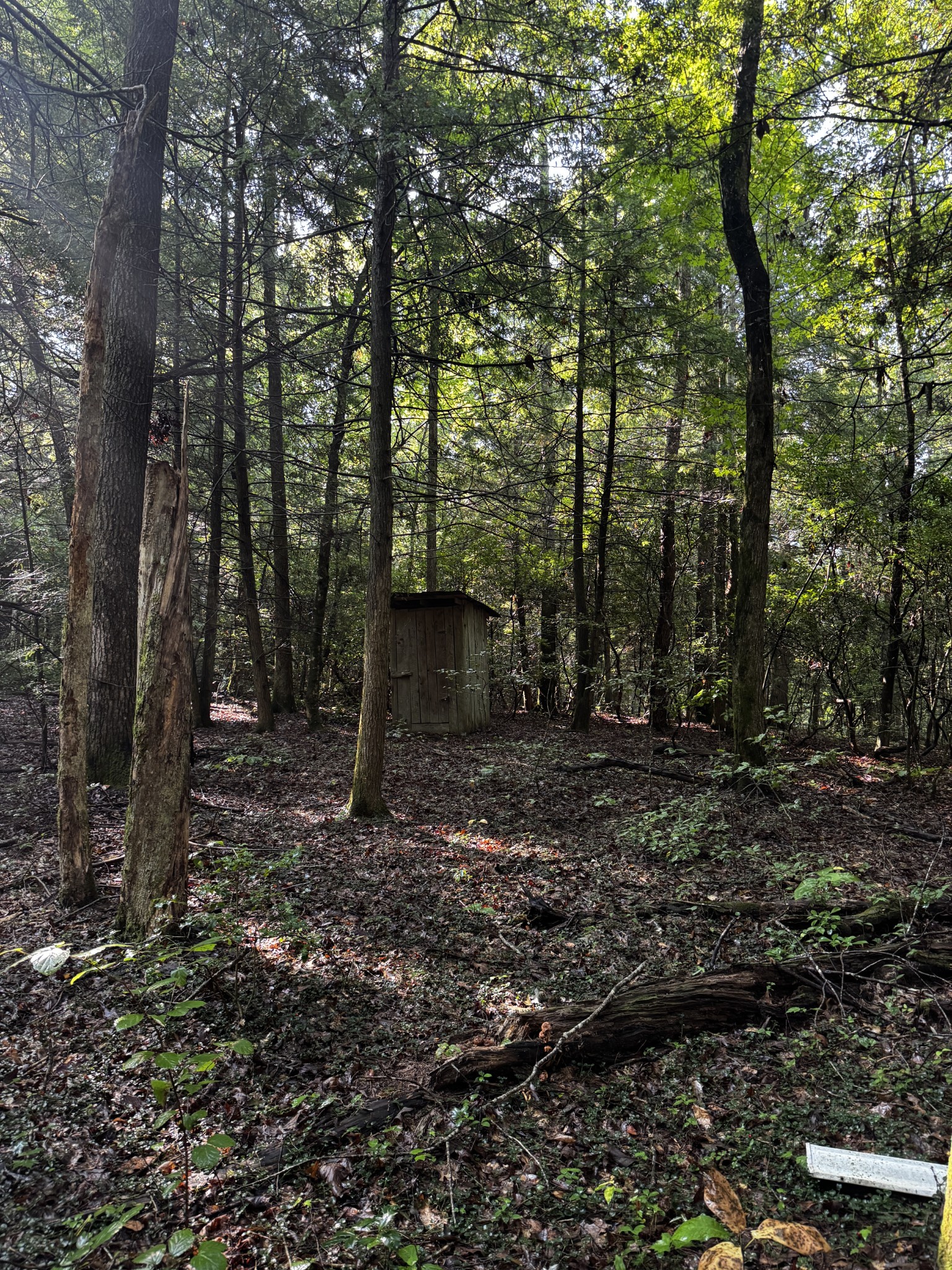 1475 Campground Road Clarkrange, TN 38553 - Photo 27 of 31 Gallery Image 27