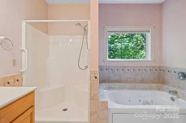 a bathroom with a bath tub and a shower