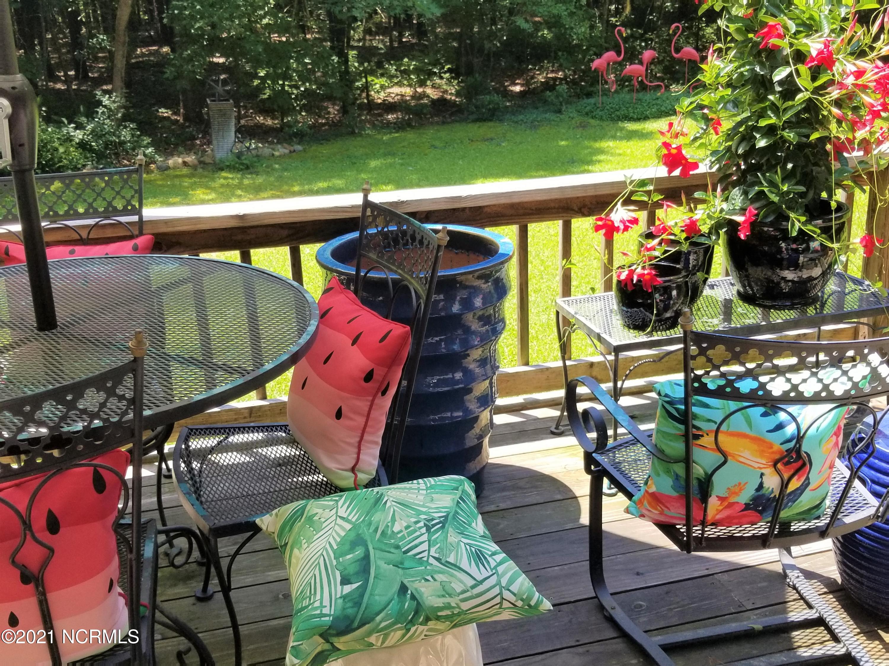 541 Indian Branch Road Rocky Mount, NC 27804 - Photo 22 of 42 Deck